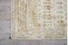 Nourison Desert Skies Beige Runner 23 X 80 Area Rug 805-100090 Thumb 1