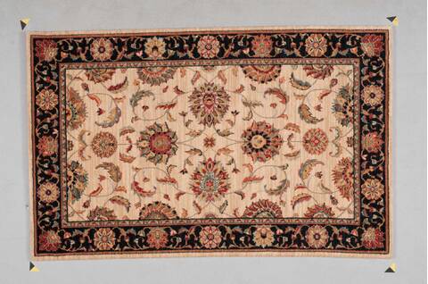 Nourison Living Treasures Beige 36 X 56 Area Rug 805-100392 Image 0