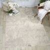 Nourison Maxell Beige 310 X 510 Area Rug  805-100645 Thumb 3