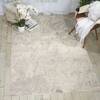 Nourison Maxell Beige 93 X 129 Area Rug 805-100648 Thumb 3