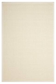 Nourison Brilliance Beige Rectangle 4x6 ft Sisal Carpet 100914