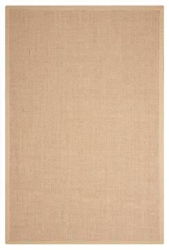 Nourison Brilliance Beige Rectangle 4x6 ft Sisal Carpet 100920