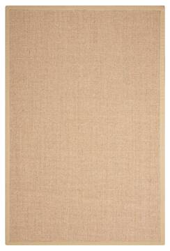 Nourison Brilliance Beige Rectangle 8x10 ft Sisal Carpet 100922
