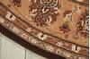 Nourison Nourison 2000 Brown Oval 76 X 96 Area Rug 805-101456 Thumb 1
