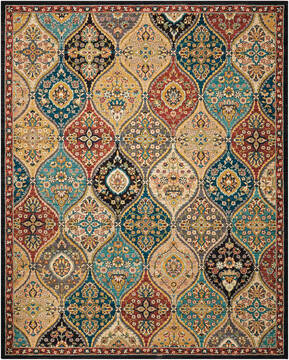 Nourison Nourison 2020 Multicolor Rectangle 8x10 ft Polyester Carpet 101830