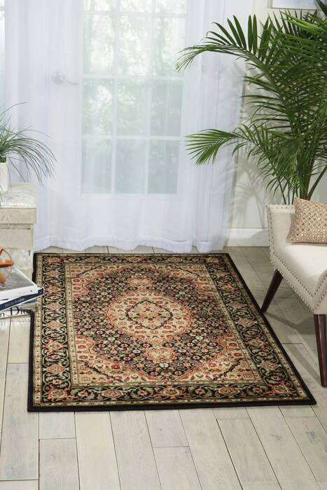 Nourison Persian Arts Black 20 X 36 Area Rug 805-102510 Image 3