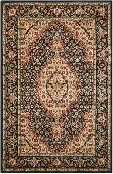 Nourison PERSIAN ARTS Black 36 X 56 Area Rug 99446691064 805-102513 Image 0