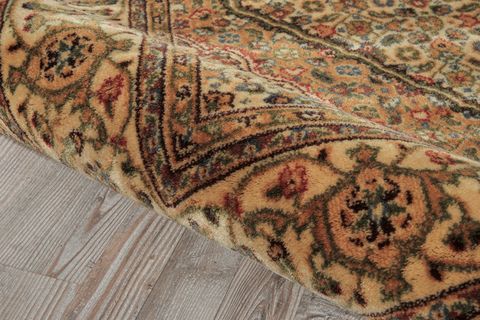 Nourison PERSIAN ARTS Beige 20 X 36 Area Rug 99446687647 805-102528 Image 4