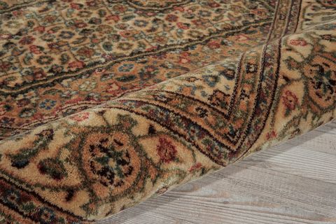 Nourison PERSIAN ARTS Beige 20 X 36 Area Rug 99446687647 805-102528 Image 5