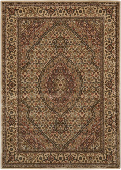Nourison PERSIAN ARTS Beige 20 X 36 Area Rug 99446687647 805-102528 Image 0
