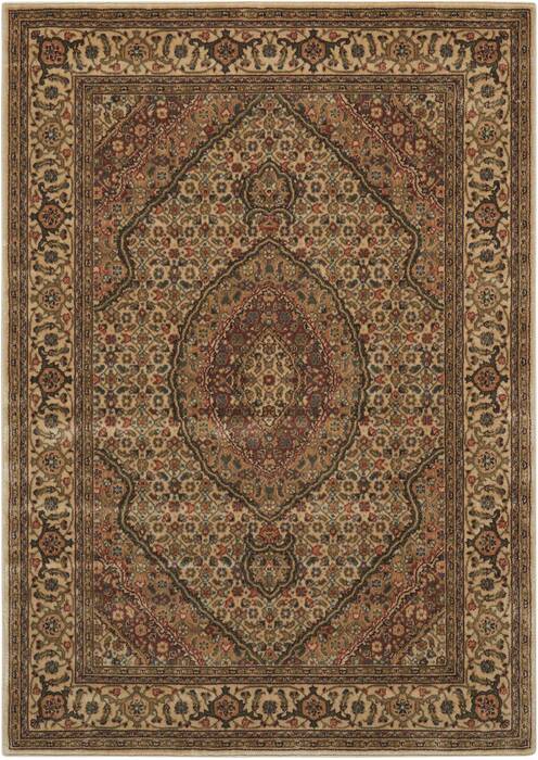 Nourison Persian Arts Beige 36 X 56 Area Rug 805-102531 Image 0