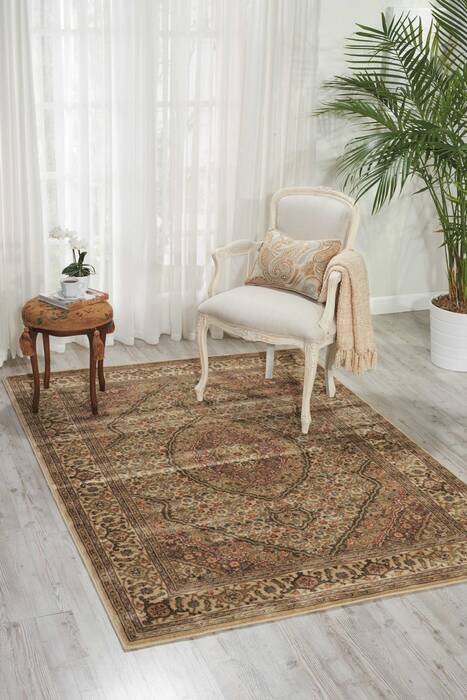 Nourison Persian Arts Beige 53 X 75 Area Rug 805-102533 Image 3