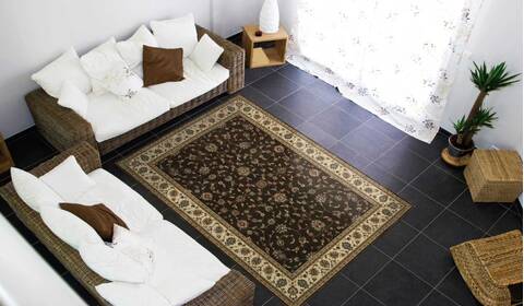 Nourison Persian Arts Brown 53 X 75 Area Rug 805-102560 Image 3