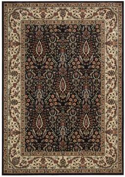 Nourison Persian Arts Black Rectangle 5x7 ft Polyester Carpet 102587