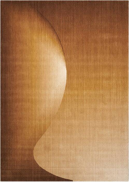 Nourison Radiant Arts Yellow 23 X 40 Area Rug 805-102907 Image 0