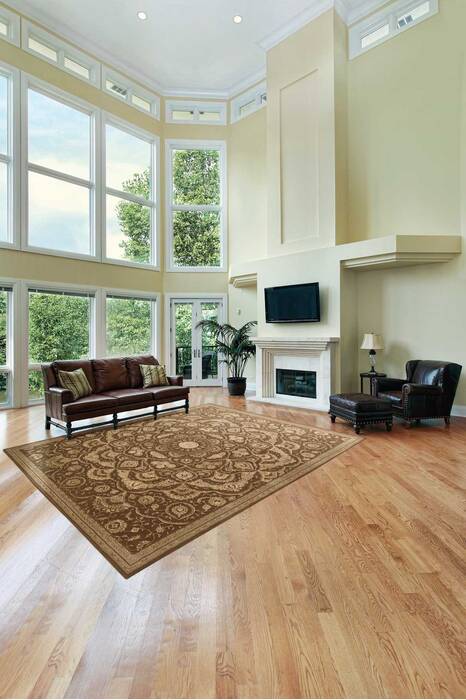 Nourison Regal Brown 56 X 86 Area Rug 805-102977 Image 2
