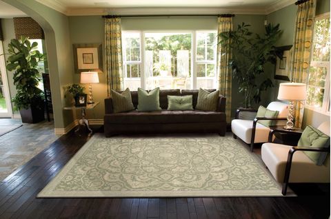 Nourison REGAL Green 99 X 139 Area Rug 99446052568 805-102986 Image 1