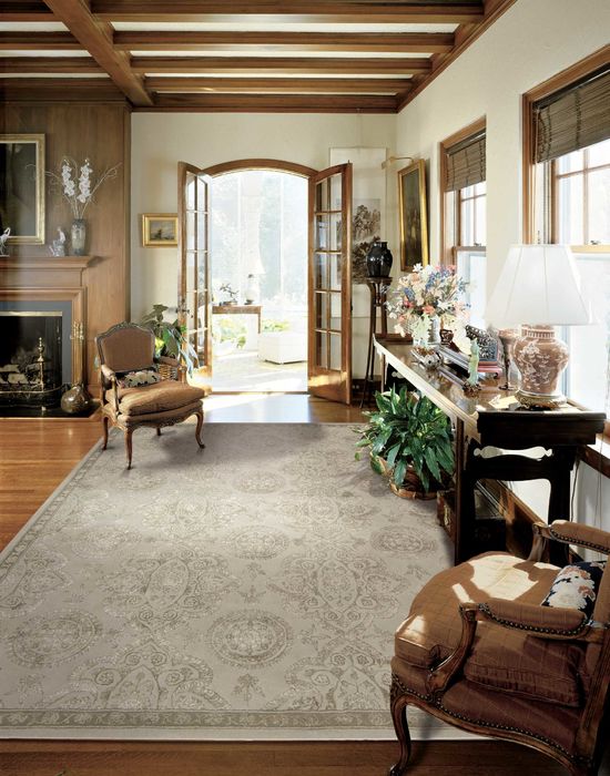 Nourison REGAL Grey 79 X 99 Area Rug 99446098979 805-103025 Image 1