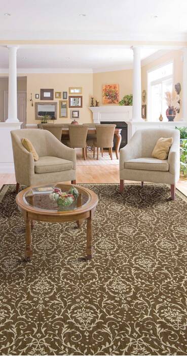 Nourison Riviera Brown 53 X 75 Area Rug 805-103148 Image 2
