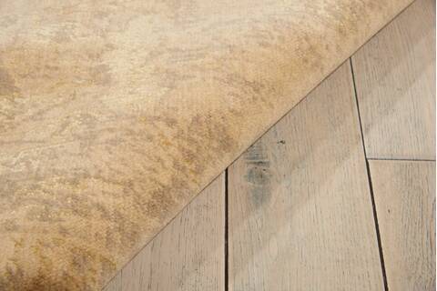 Nourison Silken Allure Beige 56 X 80 Area Rug 805-103539 Image 2