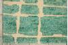 Nourison Tahoe Green 56 X 86 Area Rug  805-104454 Thumb 1