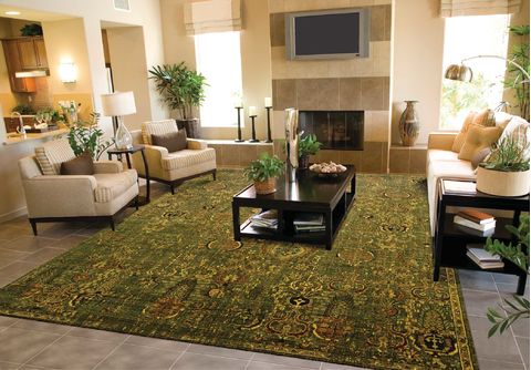 Nourison Timeless Green 79 X 99 Area Rug 805-104564 Image 1