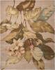 Nourison Tropics Beige 53 X 83 Area Rug 805-104711 Thumb 0