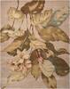 Nourison Tropics Beige 53 X 83 Area Rug  805-104711 Thumb 0