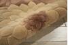Nourison Tropics Beige 36 X 56 Area Rug 805-104730 Thumb 2