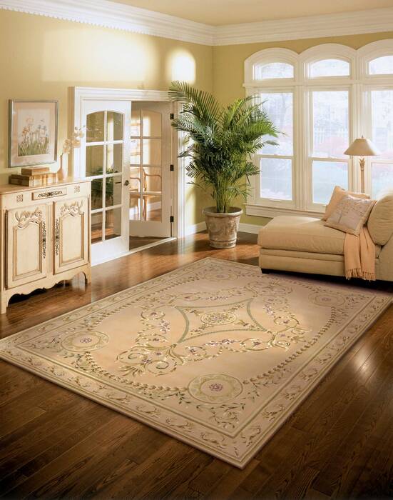 Nourison Versailles Palace Beige 80 X 110 Area Rug 805-105201 Image 3