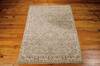 Nourison Walden Green 53 X 74 Area Rug  805-105294 Thumb 3