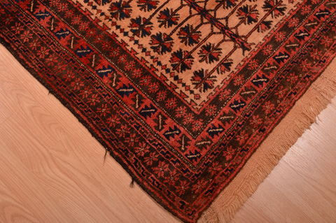 Baluch Beige Hand Knotted 30 X 48 Area Rug 100-105909 Image 6