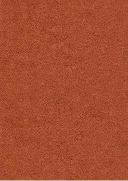 United Weavers ARIA COLLECTION Orange 5'3" X 7'6" Area Rug 809014226327 806-107048