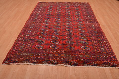Bokhara Red Hand Knotted 62 X 811 Area Rug 134-108983 Image 4