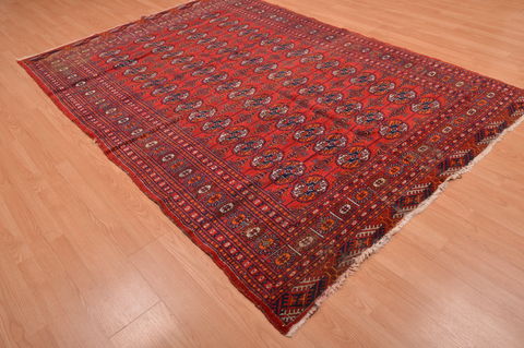 Bokhara Red Hand Knotted 62 X 811 Area Rug 134-108983 Image 5