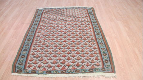 Kilim Green Flat Woven 43 X 55 Area Rug 100-109236 Image 1