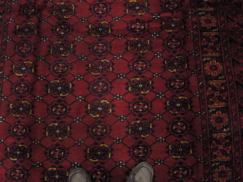Bakhtiar Red Hand Knotted 610 X 101 Area Rug 100-109253 Image 13