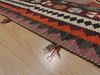 Kilim Red Flat Woven 45 X 74  Area Rug 100-109503 Thumb 11