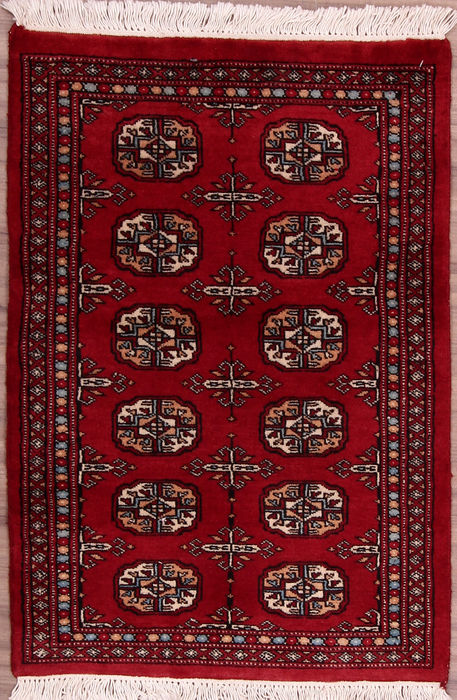 Bokhara Red Hand Knotted 21 X 31 Area Rug 155-109555 Image 0