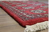 Bokhara Red Hand Knotted 21 X 31  Area Rug 155-109555 Thumb 5