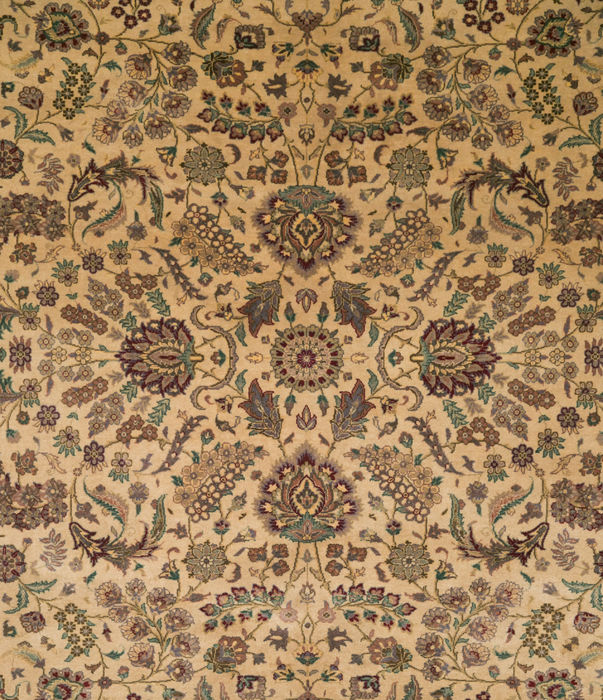 Pak-Persian Beige Hand Knotted 61 X 89 Area Rug 700-109695 Image 1