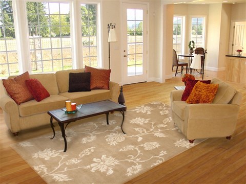 Indo-Nepal Beige Hand Knotted 84 X 115 Area Rug 100-11006 Image 4
