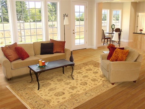 Chobi Yellow Hand Knotted 62 X 811 Area Rug 100-11045 Image 4