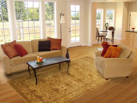 Indo-Persian Yellow Hand Knotted 57 X 86 Area Rug 100-11050 Image 4