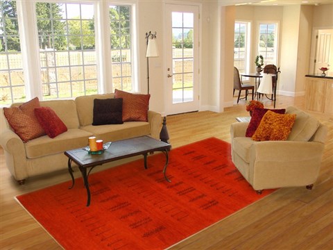 Gabbeh Red Hand Knotted 67 X 99 Area Rug 100-11056 Image 4