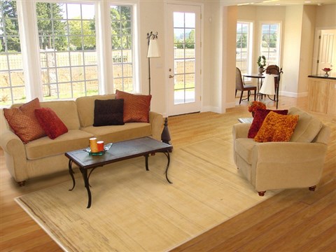 Gabbeh Beige Hand Knotted 69 X 99 Area Rug 100-11060 Image 4
