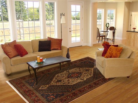 Bakhtiar Multicolor Hand Knotted 69 X 100 Area Rug 100-11067 Image 4