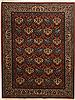 Bakhtiar Multicolor Hand Knotted 69 X 95  Area Rug 100-11078 Thumb 0