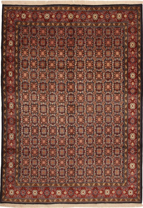 Birjand Multicolor Hand Knotted 66 X 99  Area Rug 100-11083 Image 0