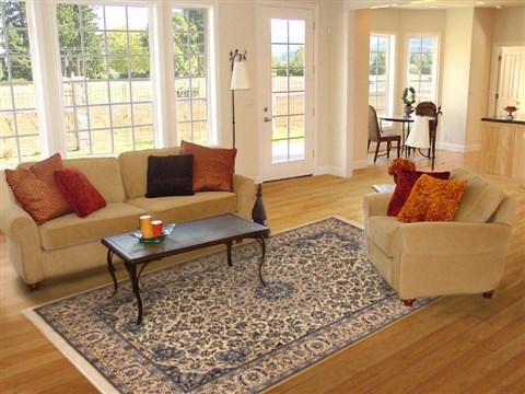 Nain Beige Hand Knotted 68 X 103 Area Rug 100-11084 Image 4